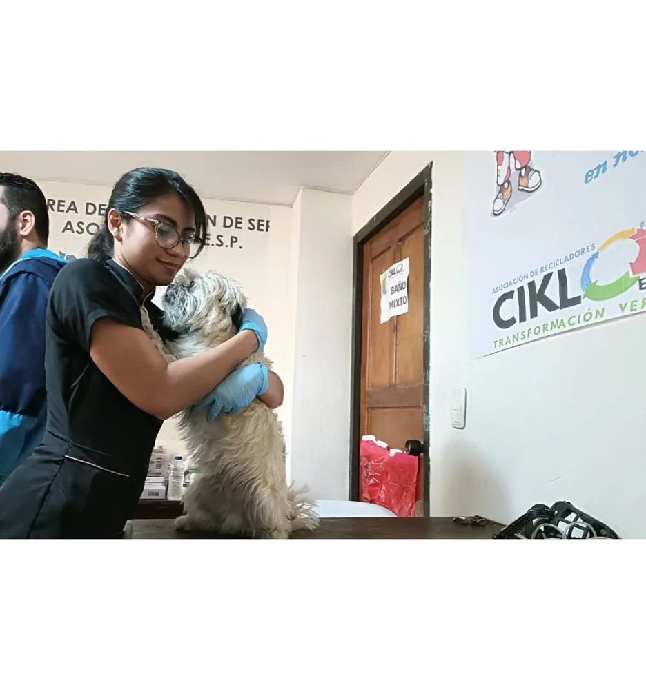 Asociados de Familia Ciklo recibiendo mercados de un aliado